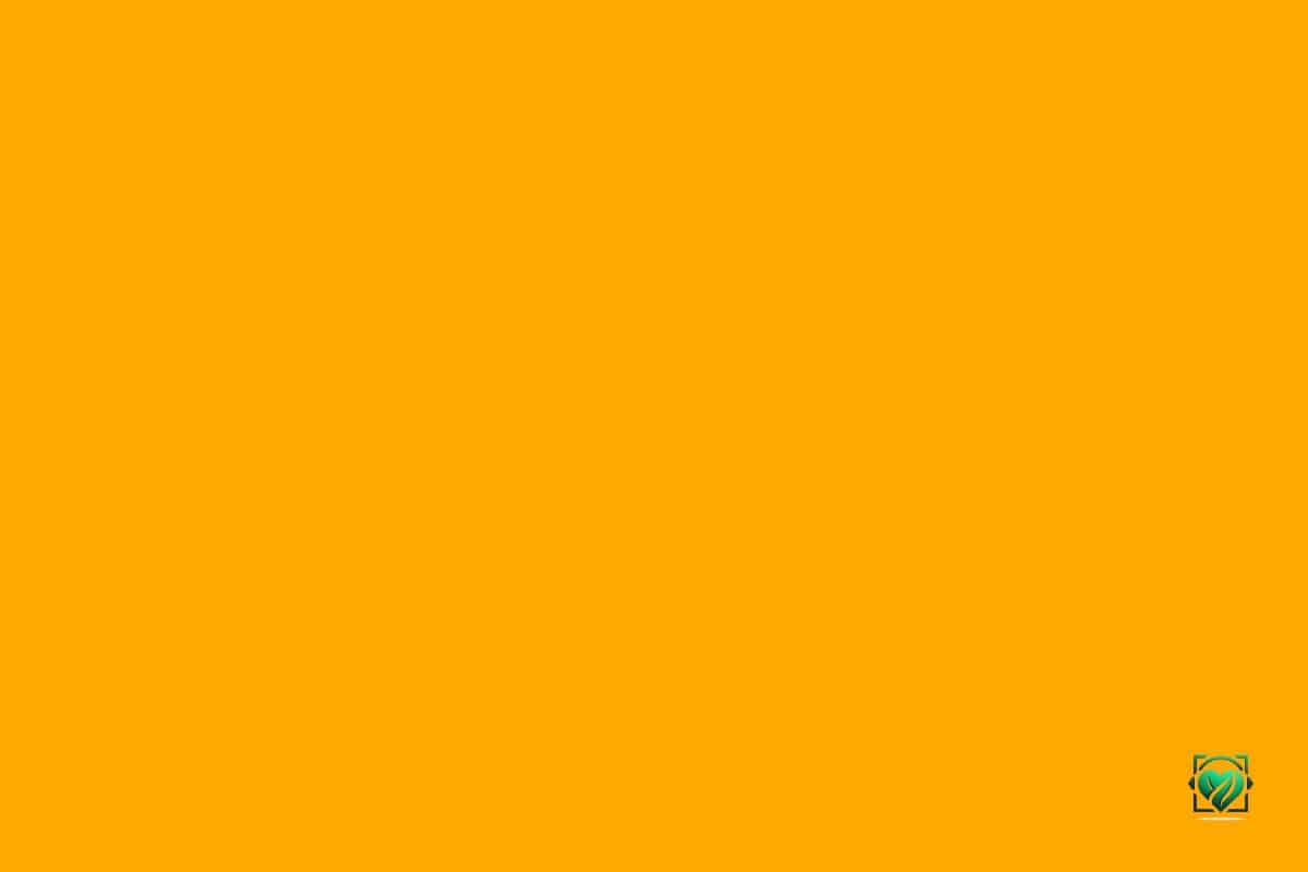 RAL 2000: Orange