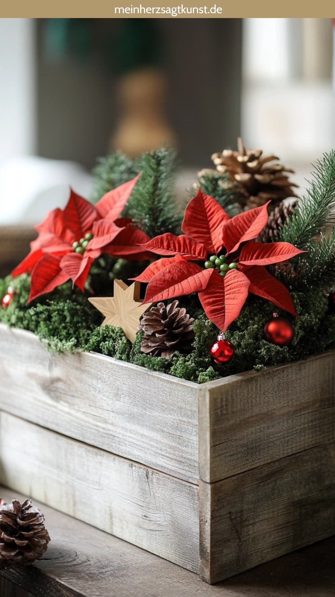 Weihnachtsstern im Holzkasten mit Moos dekoriert Blumendeko