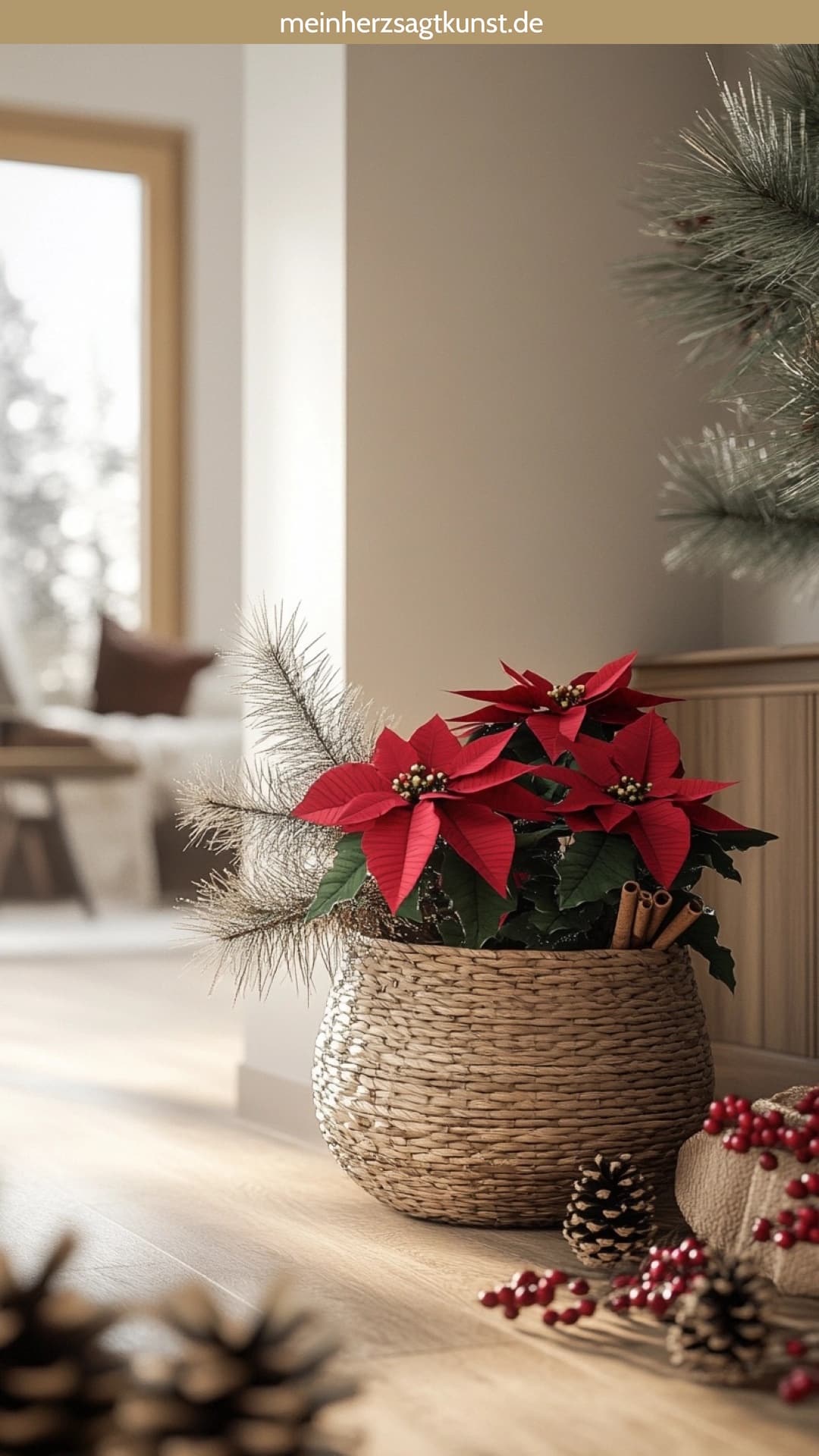 Weihnachtsstern Blumendeko im Korb mit Tannenzapfen und Orangenscheiben